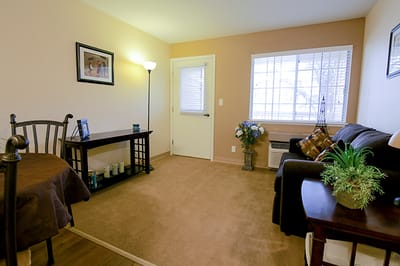 Cozy interior living space with a sofa and decorative accents
