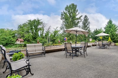 Outdoor seating area with plants and umbrellas