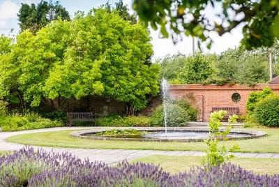 Outdoor garden with a fountain and benches