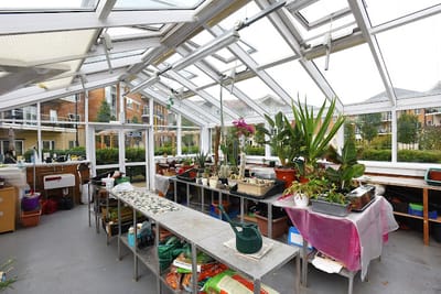Indoor greenhouse with plants and gardening supplies