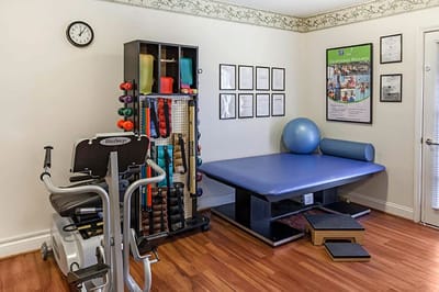 Physical therapy equipment in a wellness room