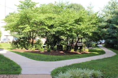 Pathway through a landscaped outdoor area