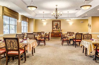 Bright dining room with elegant furnishings