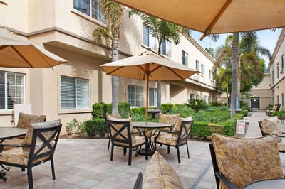 Outdoor seating area with umbrellas and palm trees