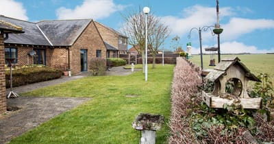 Well-maintained outdoor space with pathways and greenery
