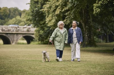 Two women walking a dog in a park