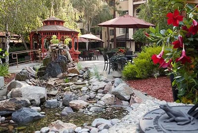 Outdoor area with a gazebo and garden features