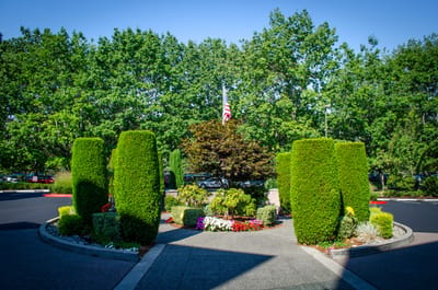 Well-maintained garden area with colorful flowers