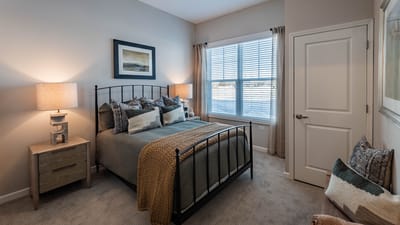 Cozy bedroom with soft decor and natural light