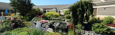 Beautiful garden with water feature and colorful flowers