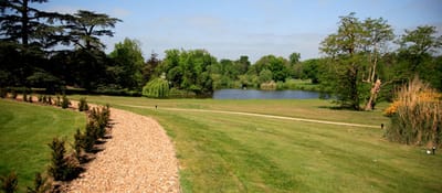 Lush outdoor garden path leading to a serene pond