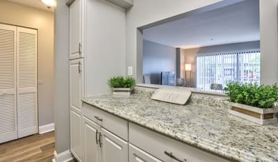 Modern kitchen countertop with decorative elements