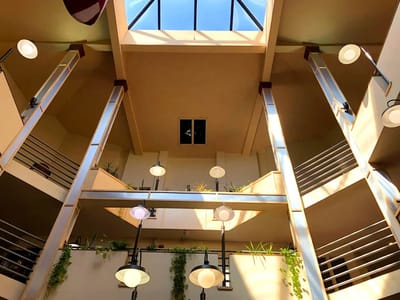 Interior view of a bright atrium with plants