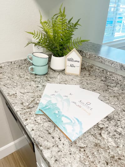 Decorative welcome area with plant and brochures