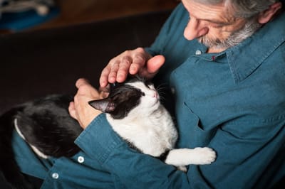 An elderly man gently petting a cat