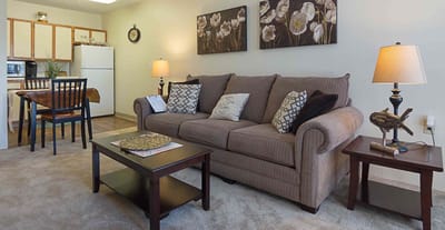 Cozy living room setup with couch and dining area