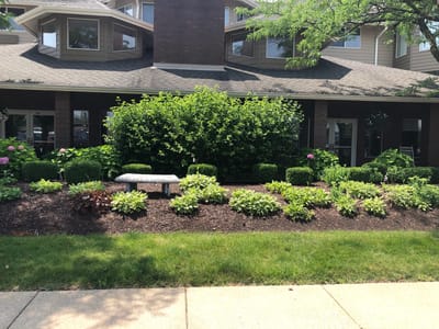 Well-maintained garden area at facility entrance