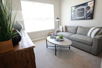 Cozy living room with a grey sofa and decor