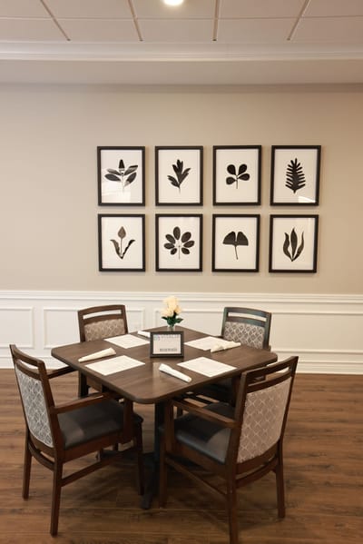 Well-set dining table in an interior dining area