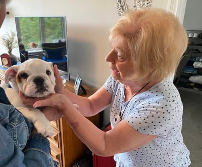 Resident interacting with a puppy in a cozy interior