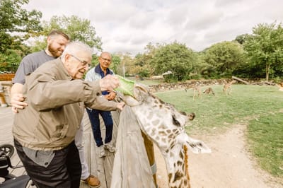 Residents feeding a giraffe at an outdoor zoo
