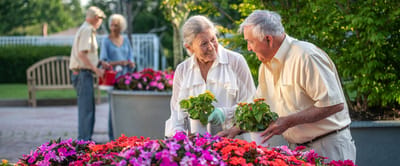 Residents gardening in a vibrant outdoor space