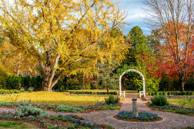 Beautiful garden with colorful trees and pathway