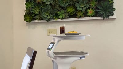 Food on a serving cart near a wall of succulents