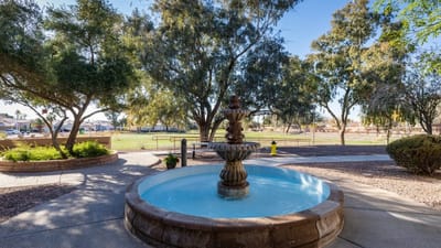 Serene courtyard with a fountain and trees