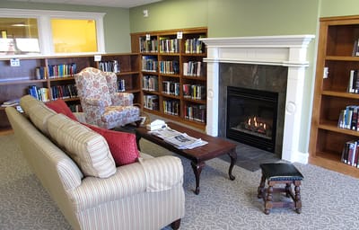 Cozy reading area with a fireplace and bookshelves