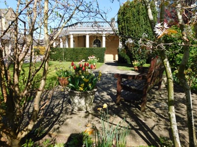 Serene garden area with flowers and seating
