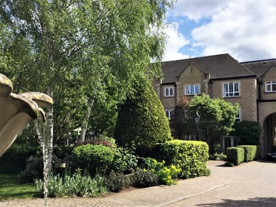 Lush garden area with greenery in senior living facility