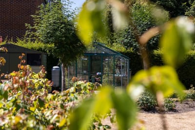 Greenhouse surrounded by shrubs in the garden