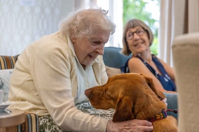 Residents interacting with a friendly dog in a common area