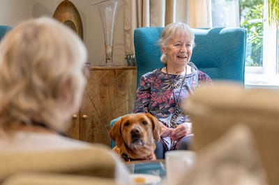 Resident interacting with a dog in a cozy lounge