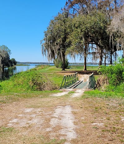 Scenic outdoor view with a bridge and trees