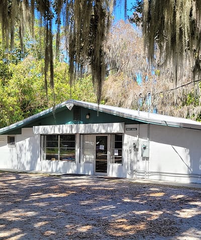 Exterior view of a building with greenery and Spanish moss