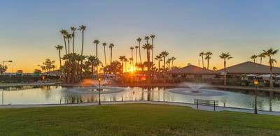 Sunset over a serene pond with palm trees