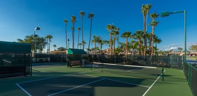 Outdoor tennis court surrounded by palm trees
