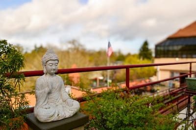A serene outdoor space with a Buddha statue