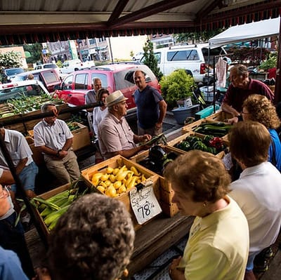 Seniors engaged at a community farmers market.