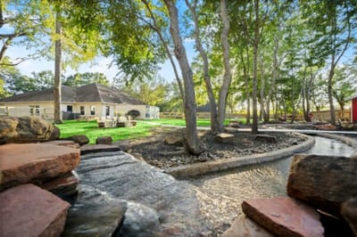 Outdoor space with lush trees and a water feature