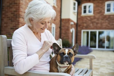 Senior woman interacting with a dog outdoors