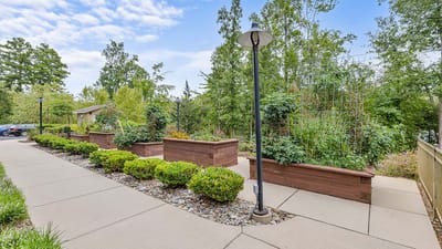Garden area with raised flower beds and pathways.