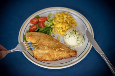 Plated meal with fish, vegetables, and mashed potatoes.