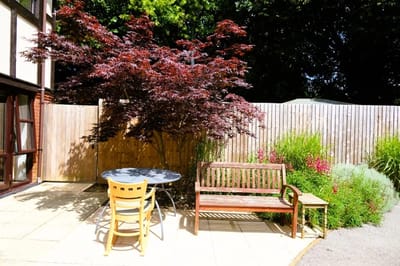 Outdoor seating area with a red tree and flowers