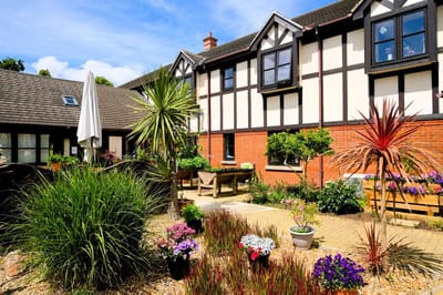 Beautiful outdoor garden area with flowers.