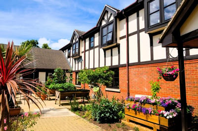 Outdoor garden area with vibrant flowers and greenery.