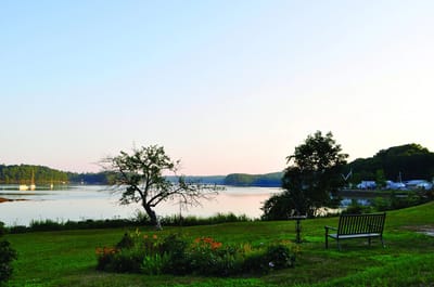 Quiet lakeside view with a bench and trees.