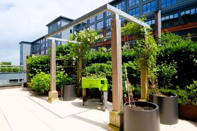 Garden area with greenery and a pergola structure.